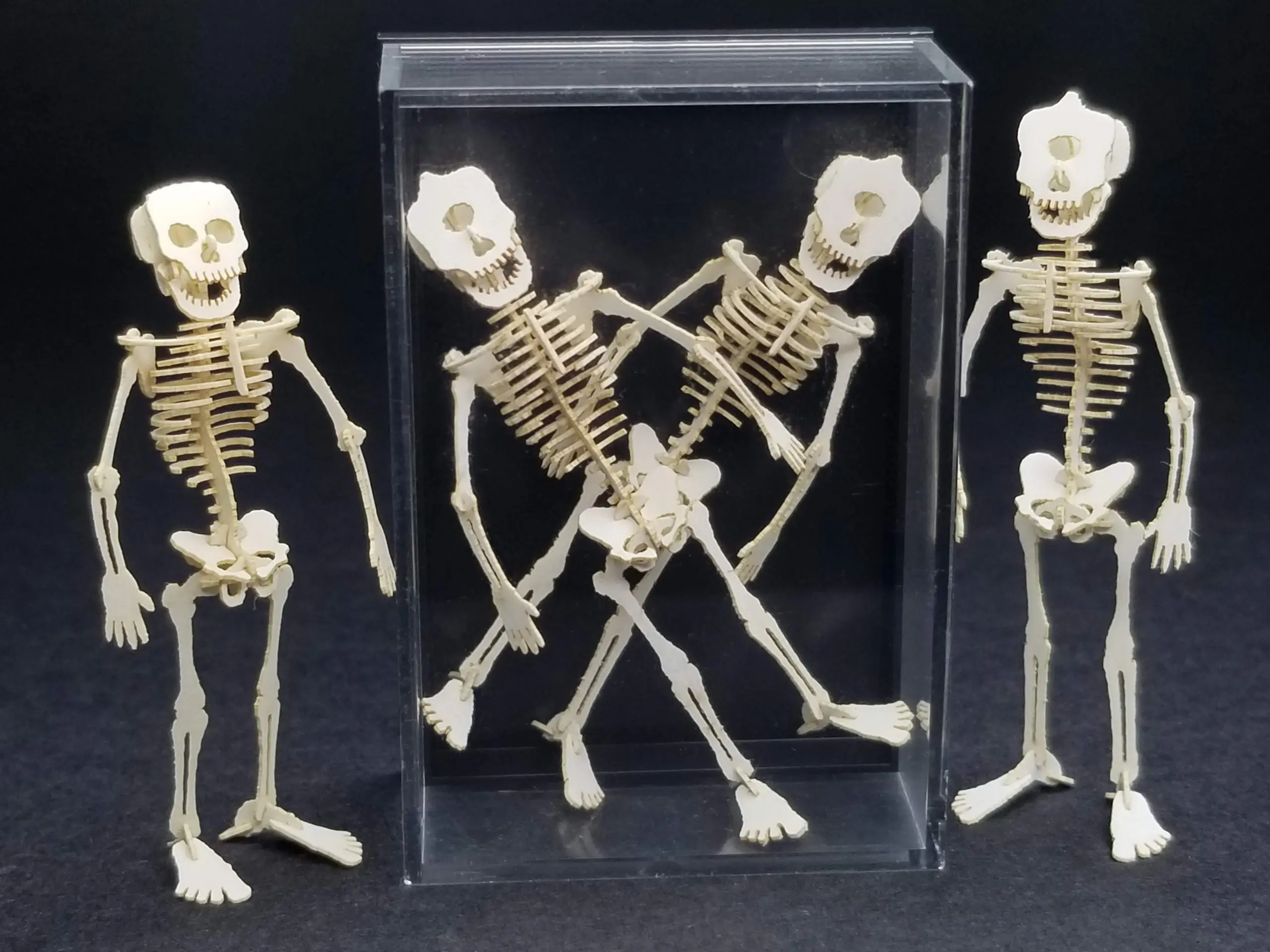 3 cyclopses and a human skeleton
