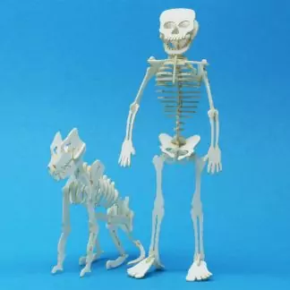 Tinysaurs