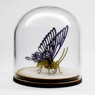 59mm borosilicate glass display dome for Tinysaurs and jewelry display. Dome is 54mm inside diameter.