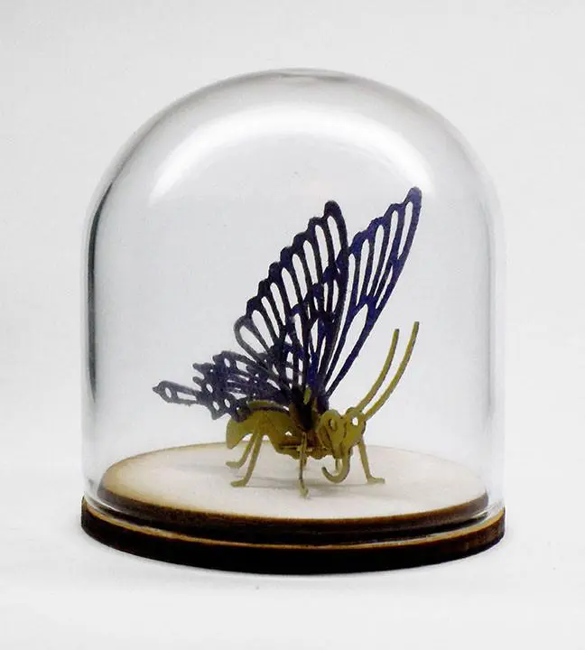 59mm borosilicate glass display dome for Tinysaurs and jewelry display. Dome is 54mm inside diameter.