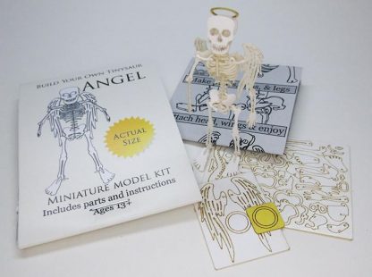 Angel miniature skeleton model with instructions and packaging