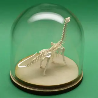 Brontosaurus tiny skeleton model in glass display dome by Tinysaur