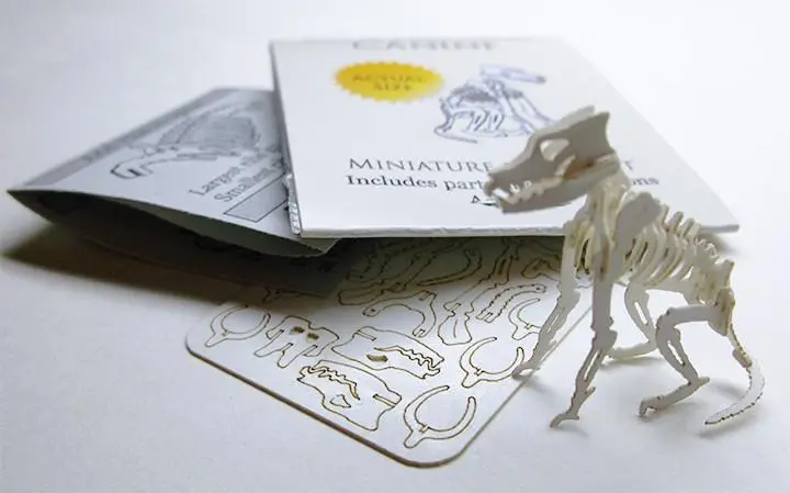 Canine miniature skeleton model with laser cut bones and instructions by Tinysaur.us