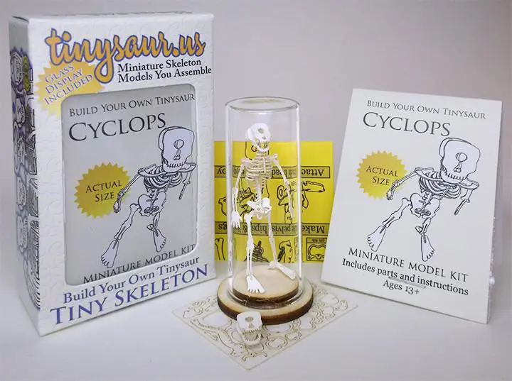 Cyclops All-in-one miniature skeleton model kit with laser-cut bones, glass display dome, instructions, tweezers, glue, a magnifier, and packaging by Tinysaur.us