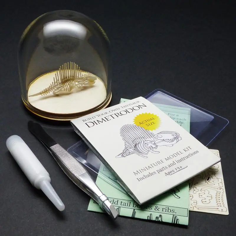 Dimetrodon all-in-one miniature skeleton model kit with laser-cut bones, glass display dome, instructions, tweezers, glue, a magnifier, and packaging by Tinysaur.us