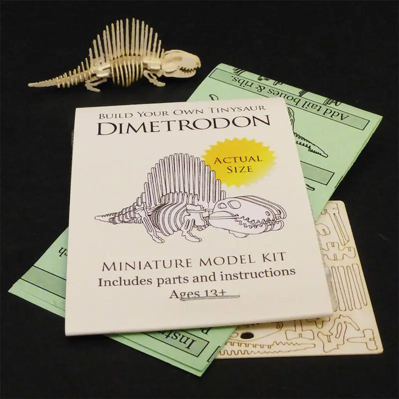 Dimetrodon miniature skeleton model with laser cut bones and instructions by Tinysaur.us