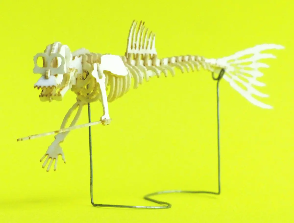 Assembled Fiji Mermaid miniature skeleton model by Tinysaur.us