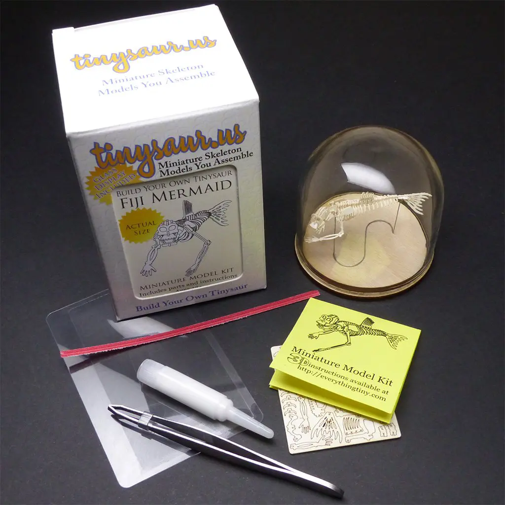 Fiji Mermaid all-in-one miniature skeleton model kit with laser-cut bones, glass display dome, instructions, tweezers, glue, a magnifier, and packaging by Tinysaur.us