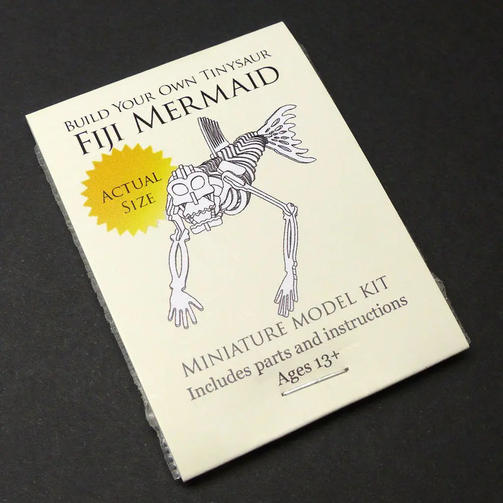 Fiji Mermaid miniature skeleton model package by Tinysaur.us
