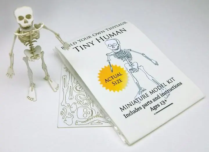 Tiny Human miniature skeleton model with instructions