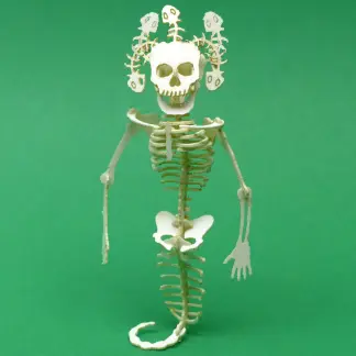 Assembled Medusa miniature skeleton model kit by Tinysaur.us