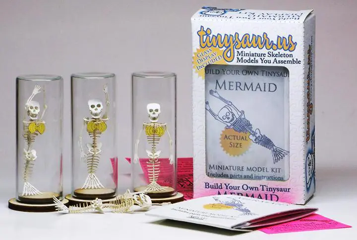 Mermaid All-in-one miniature skeleton model kit with laser-cut bones, several arm bones for different swimming styles, glass display dome, instructions, tweezers, glue, a magnifier, and packaging by Tinysaur.us
