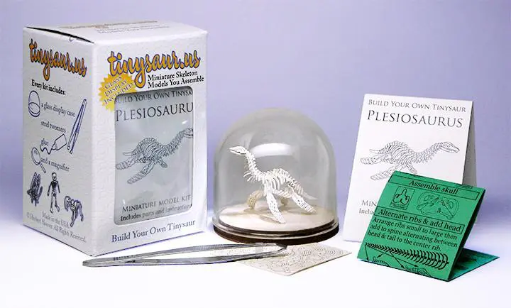 Plesiosaur all-in-one miniature skeleton model kit with laser-cut bones, glass display dome, instructions, tweezers, glue, a magnifier, and packaging by Tinysaur.us