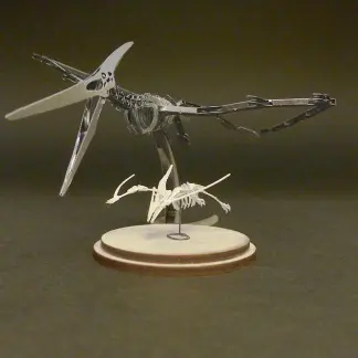 Assembled Metal Earth Pteranodon kit with Tinysaur Pterodactyl miniature skeleton model for scale