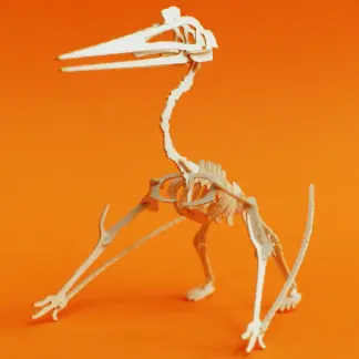 Assembled Quetzalcoatlus mini skeleton model by Tinysaur.us