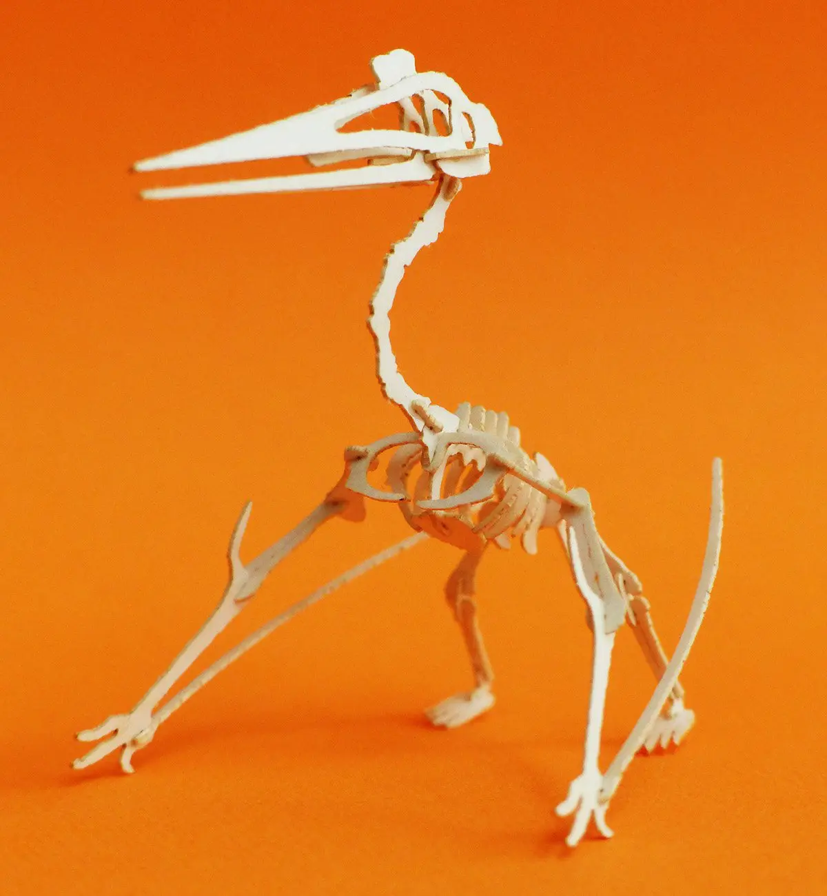 Assembled Quetzalcoatlus mini skeleton model by Tinysaur.us