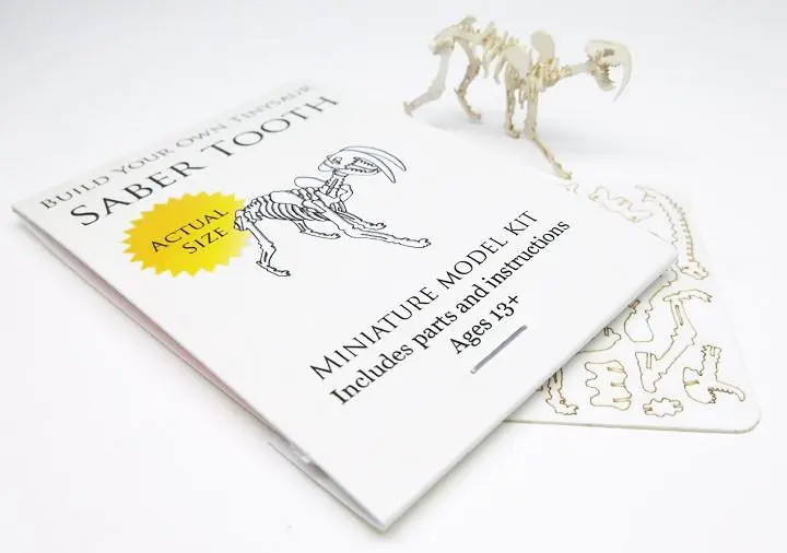 Saber Tooth miniature skeleton model with laser cut bones and instructions by Tinysaur.us