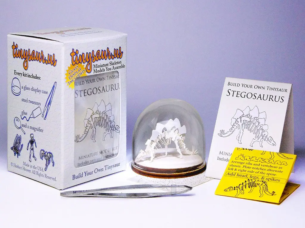 Stegosaurus all-in-one miniature skeleton model kit with laser-cut bones, glass display dome, instructions, tweezers, glue, a magnifier, and packaging by Tinysaur.us
