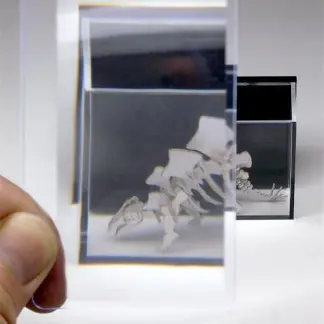 Wallet sized magnifier card 3x magnification made of polycarbonate for assembling Tinysaurs
