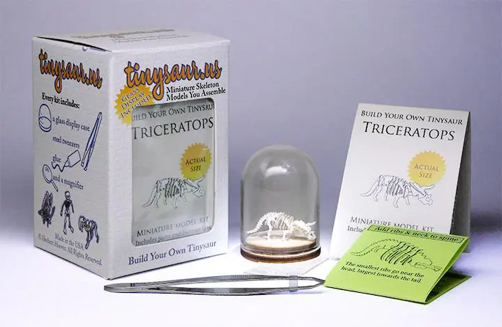 Triceratops all-in-one miniature skeleton model kit with laser-cut bones, glass display dome, instructions, tweezers, glue, a magnifier, and packaging by Tinysaur.us