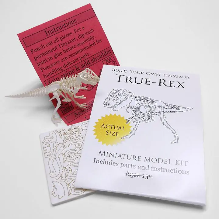 True Rex miniature skeleton model with laser-cut bones and instructions by Tinysaur.us