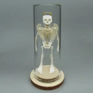 Angel All-in-one miniature skeleton model kit in glass display dome