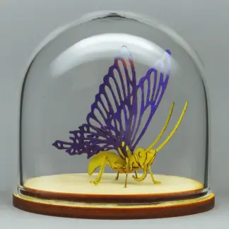 Butterfly All-in-one miniature skeleton model kit in glass display dome by Tinysaur.us