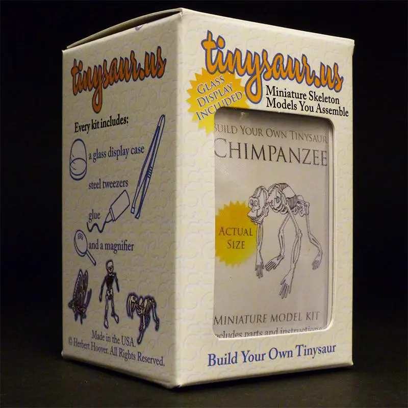 Chimpanzee All-in-one miniature skeleton model kit packaging by Tinysaur.us