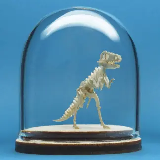 Classic T-rex miniature skeleton model in glass display dome by Tinysaur.us