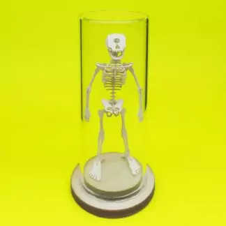 Cyclops All-in-one miniature skeleton model kit with glass display dome by Tinysaur.us
