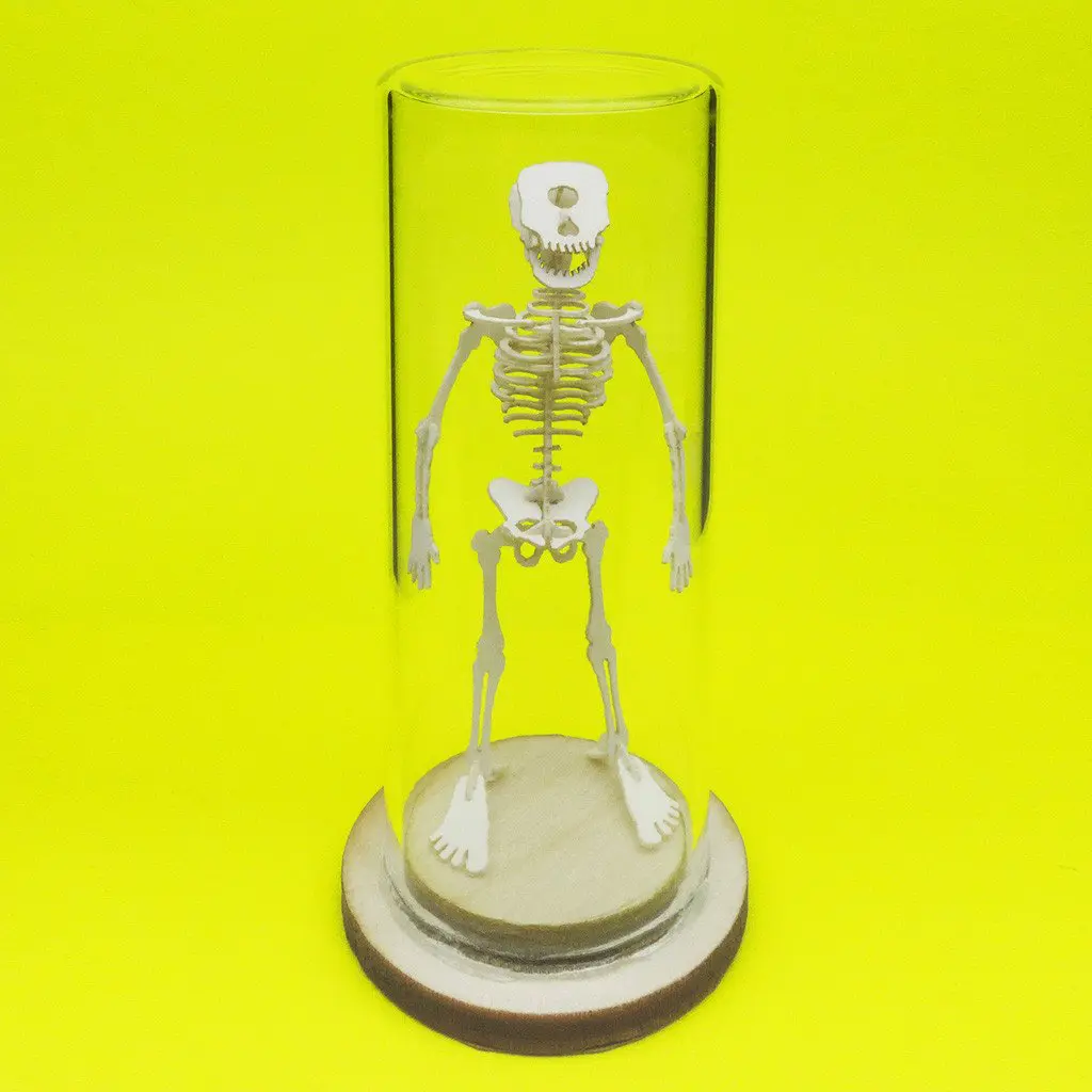 Cyclops All-in-one miniature skeleton model kit with glass display dome by Tinysaur.us