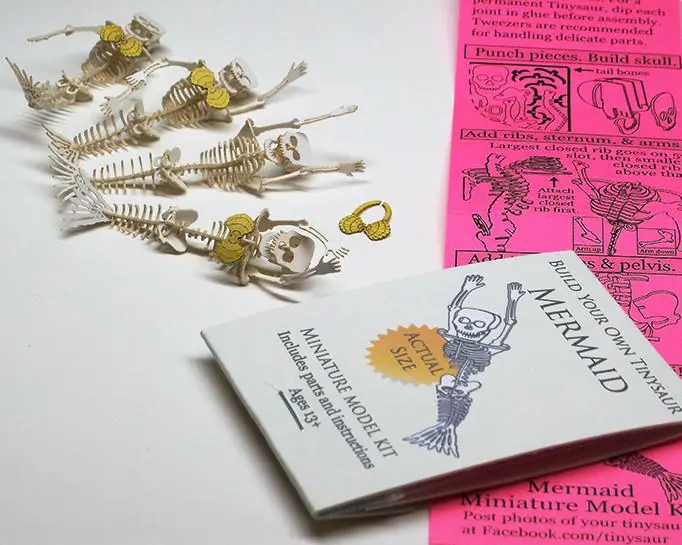 Mermaid miniature skeleton model with laser-cut bones, several arms for different swimming poses, and instructions by dinosaurs.nyc