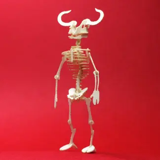 Assembled Minotaur miniature skeleton model by Tinysaur.us