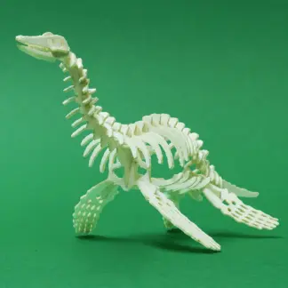 Assembled Plesiosaur miniature skeleton model by Tinysaur.us
