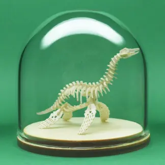 Plesiosaur miniature skeleton model in glass display dome by Tinysaur.us