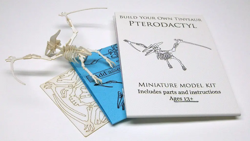 Pterodactyl miniature skeleton model with laser-cut bones and instructions by Tinysaur.us