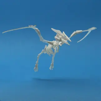 Assembled Pterodactyl mini skeleton model by Tinysaur.us