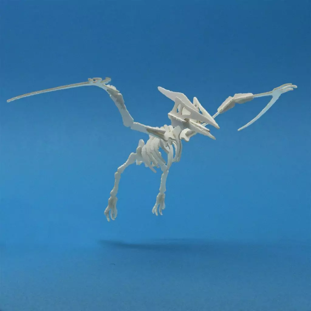 Assembled Pterodactyl mini skeleton model by Tinysaur.us