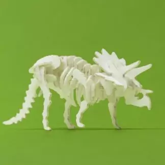 Assembled Triceratops mini skeleton model by Tinysaur.us