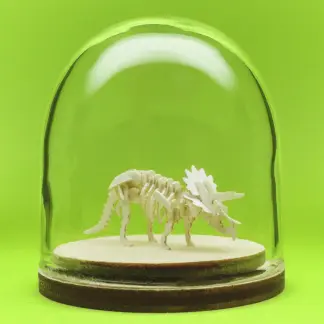 Triceratops miniature skeleton model in hand-blown glass display dome by Tinysaur.us
