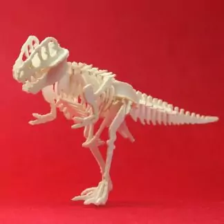 Assembled True Rex mini t-rex skeleton model by Tinysaur.us