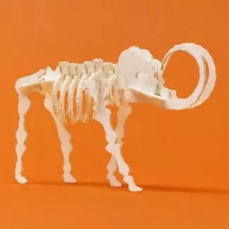 Assembled Woolly Tiny mini skeleton model by Tinysaur.us