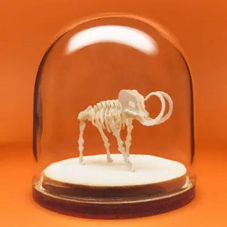 Woolly Tiny miniature skeleton model in hand-blown glass display dome by Tinysaur.us