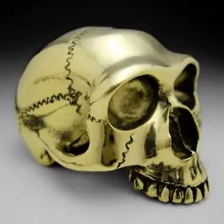 Large Brass Skull