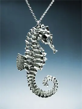 Seahorse
