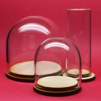 Tiny Glass Display Domes