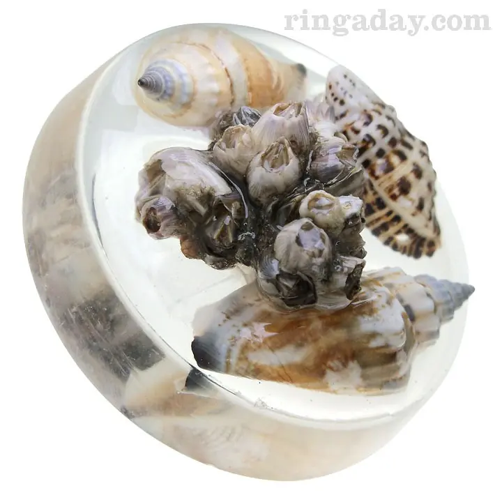 Arthropods in resin