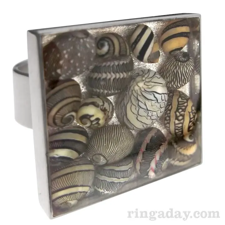 Illustrated Nerite Ring
