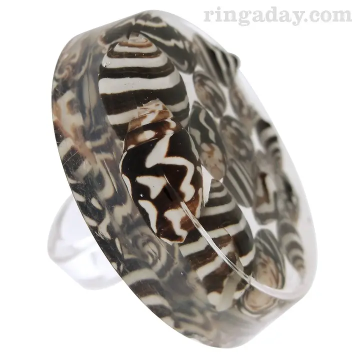 Zebra Nerite Resin Ring
