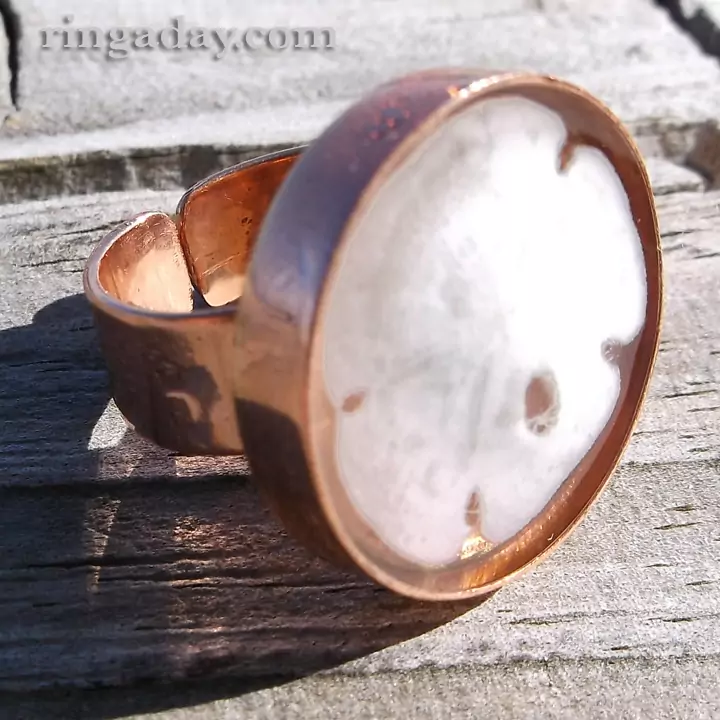 sand dollar in resin on copper ring